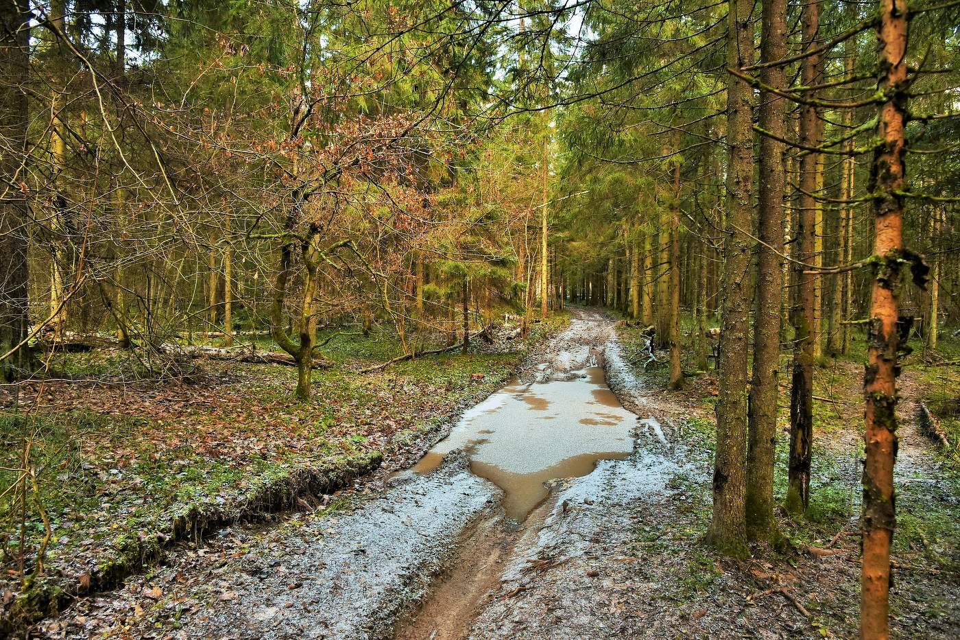 Дороги ноября ...