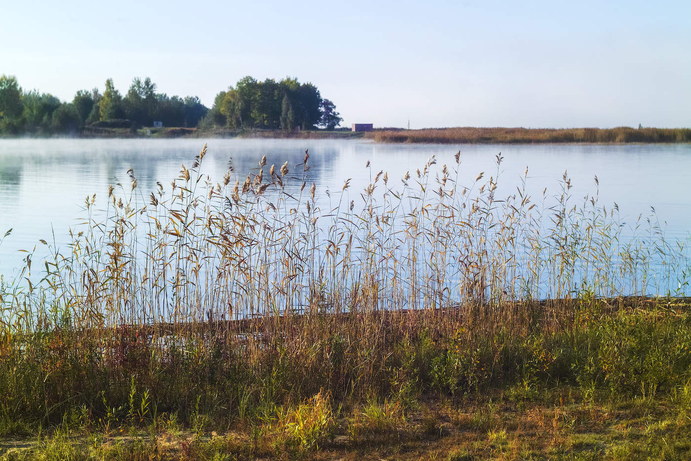 Гляжу в озера синие