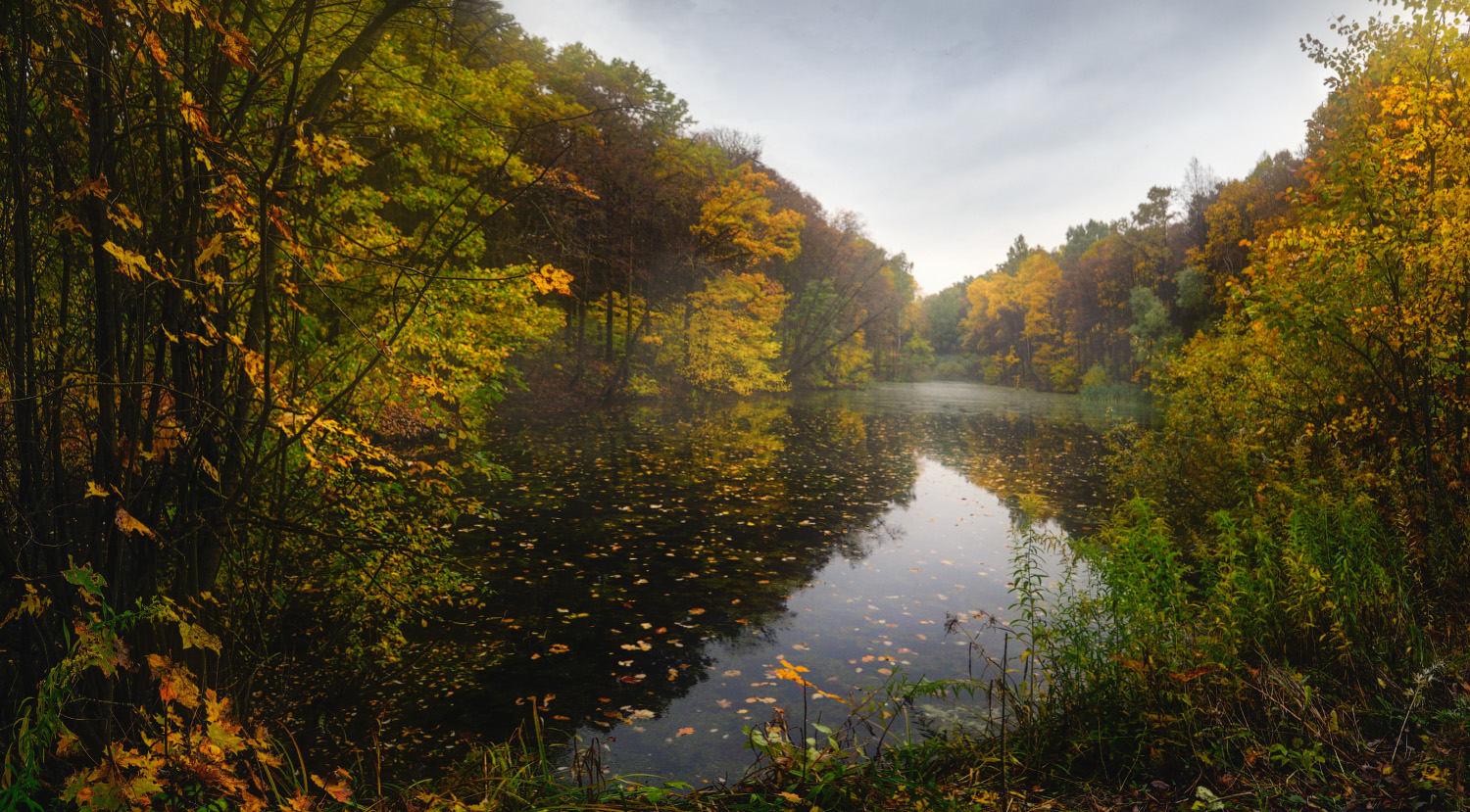 Осенний пруд