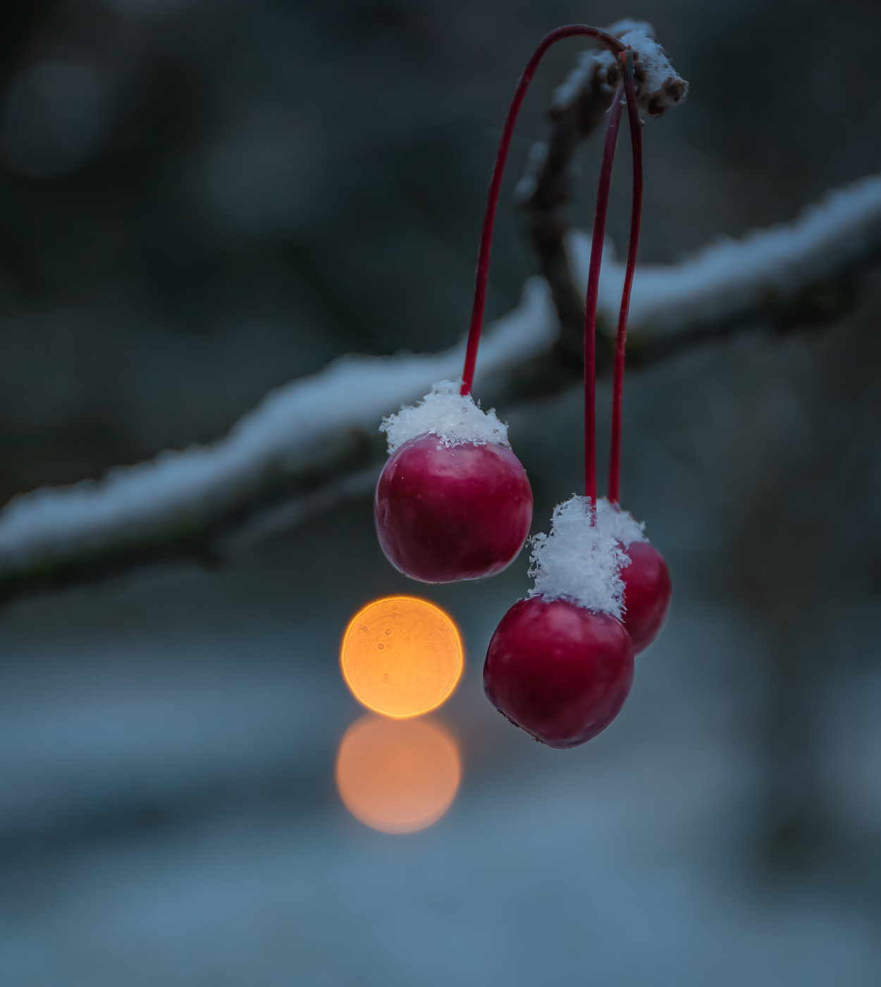 Первый снег