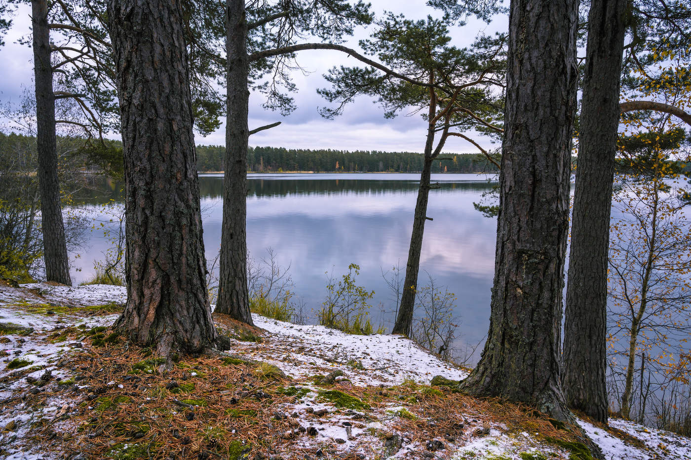 На берегу Снетковского озера.