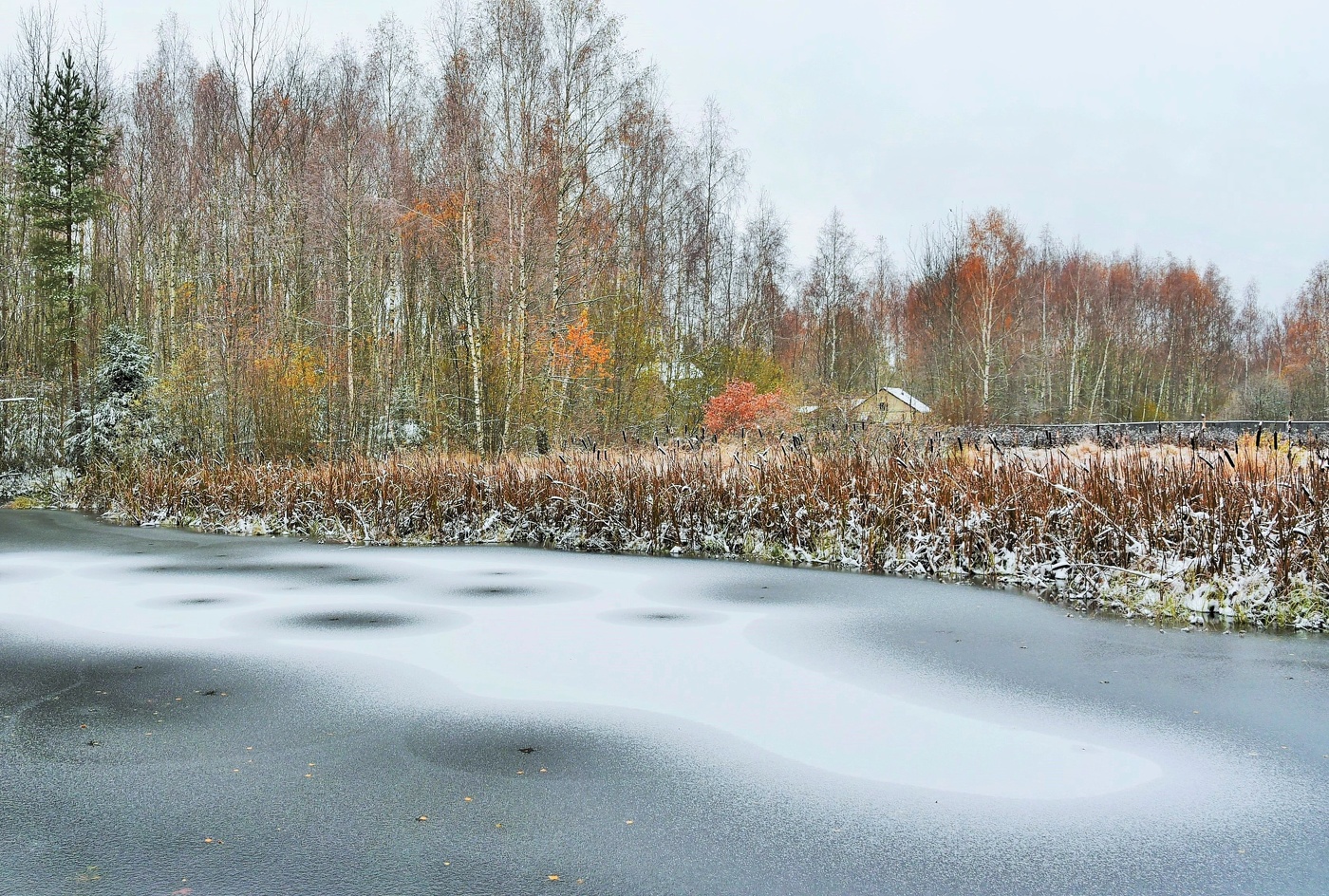 Предзимье ...