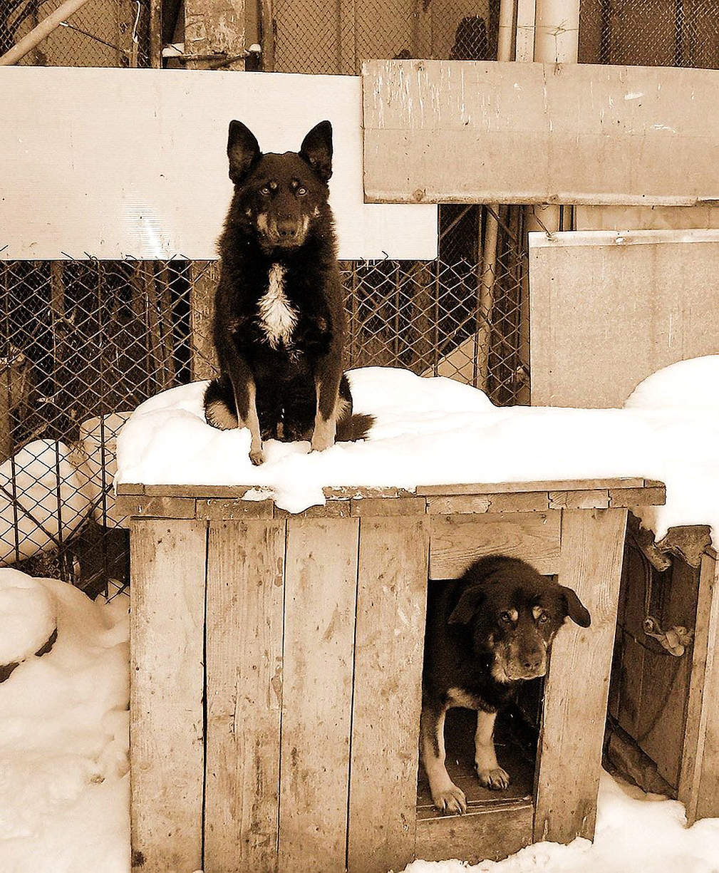 Всегда начеку.