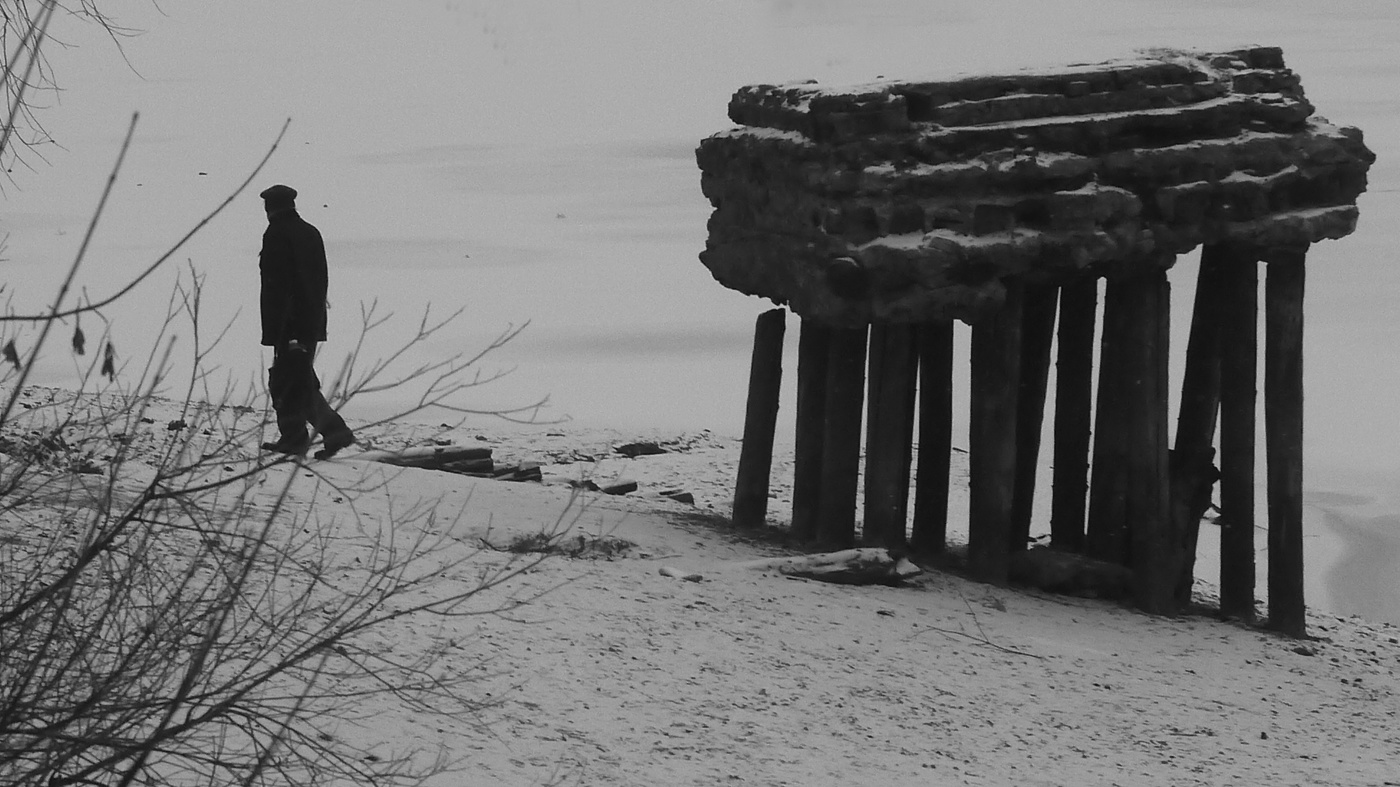 Хвоста не было?