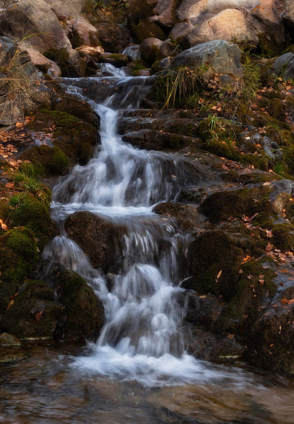 Струится речушка между берегами...
