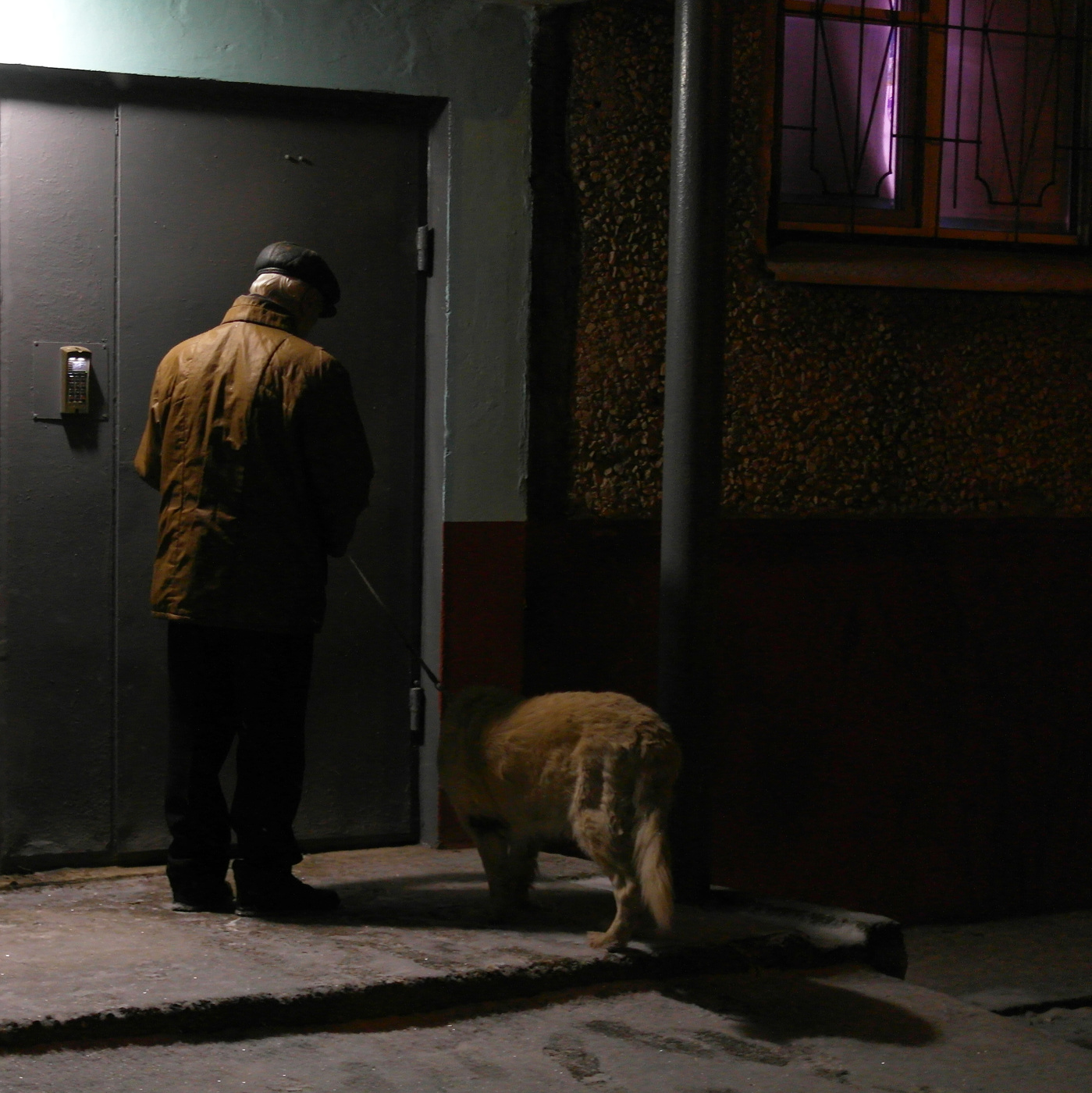 Ну вот и домой пришли...