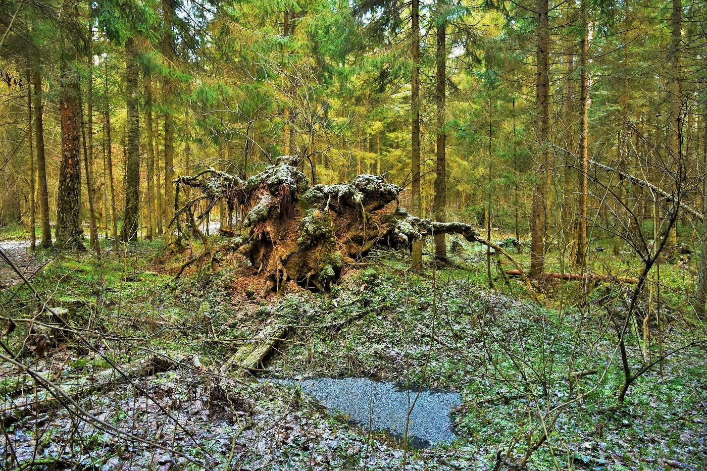 "Уж, видимо, ко сну природу клонит и осени кончается пора..."