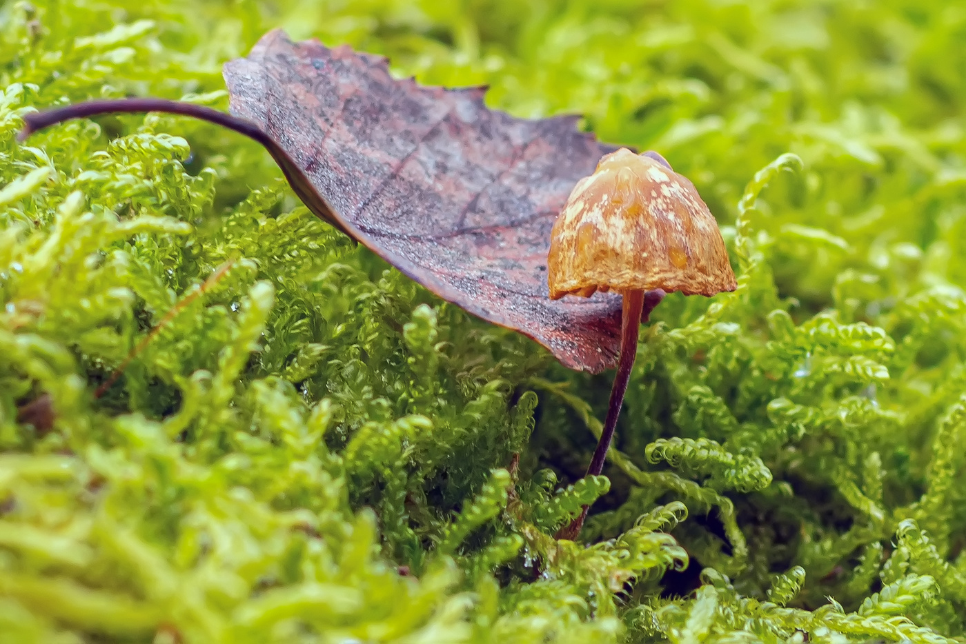 два одиночества