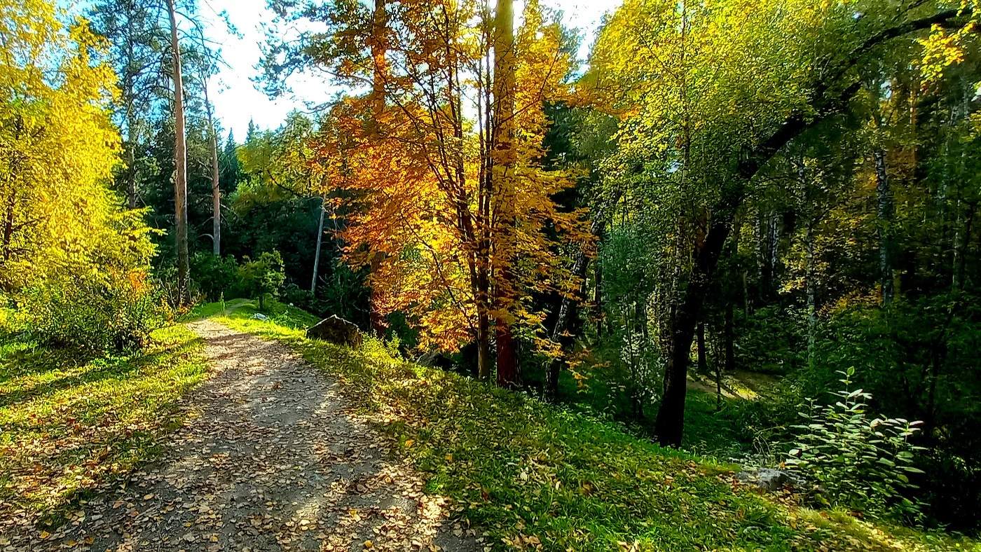 Ботанический сад