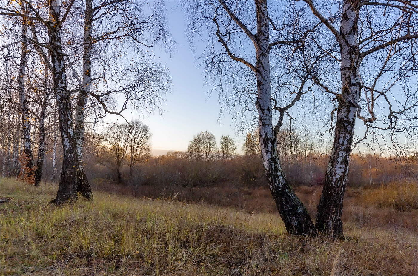 ОСЕНЬ В РЫЖИХ ТОНАХ