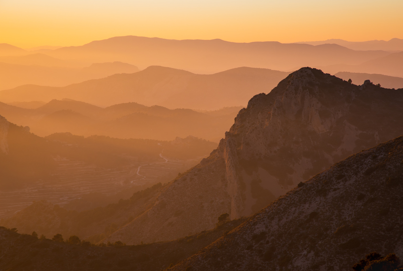 Вечерние силуэты