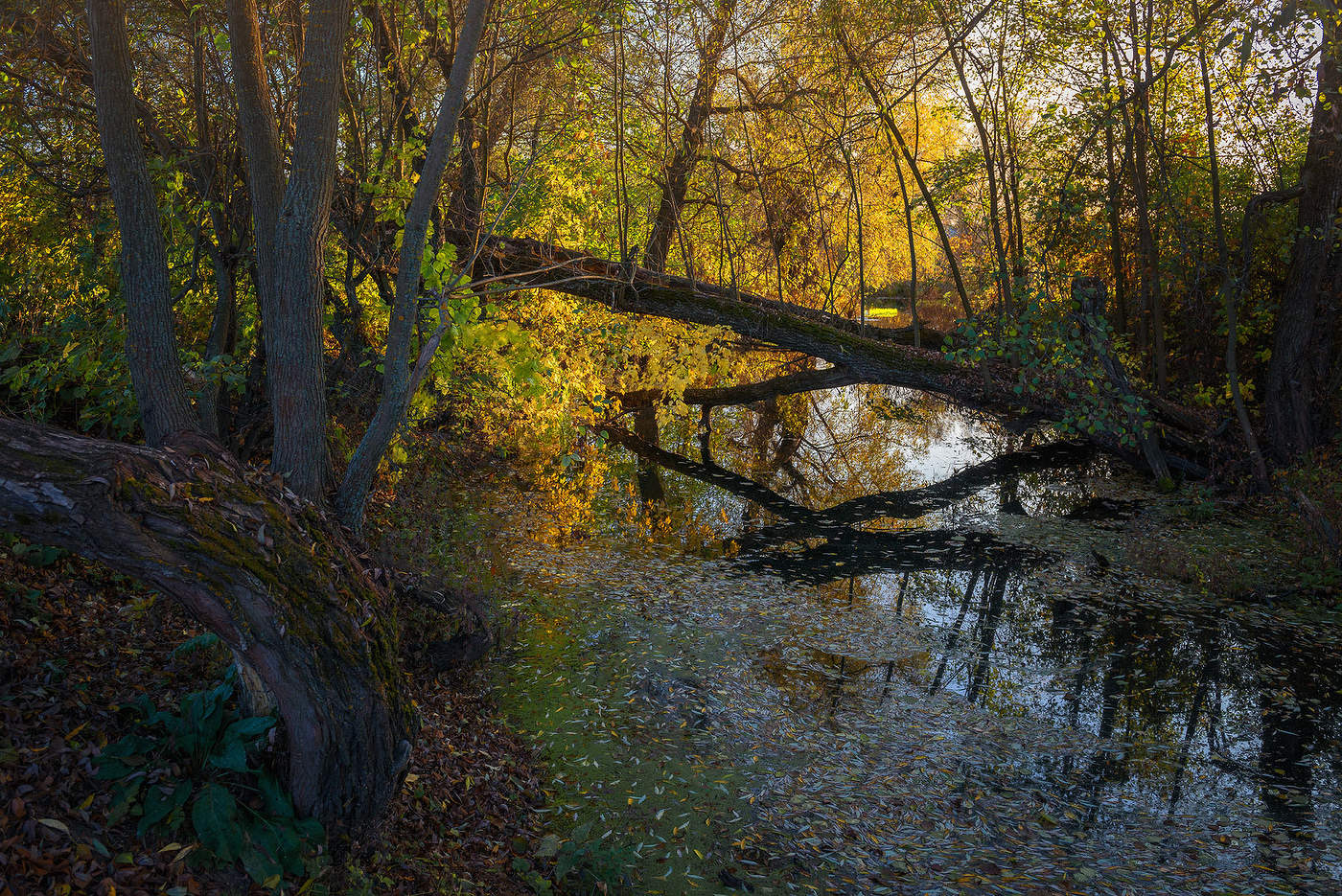 Про осень...