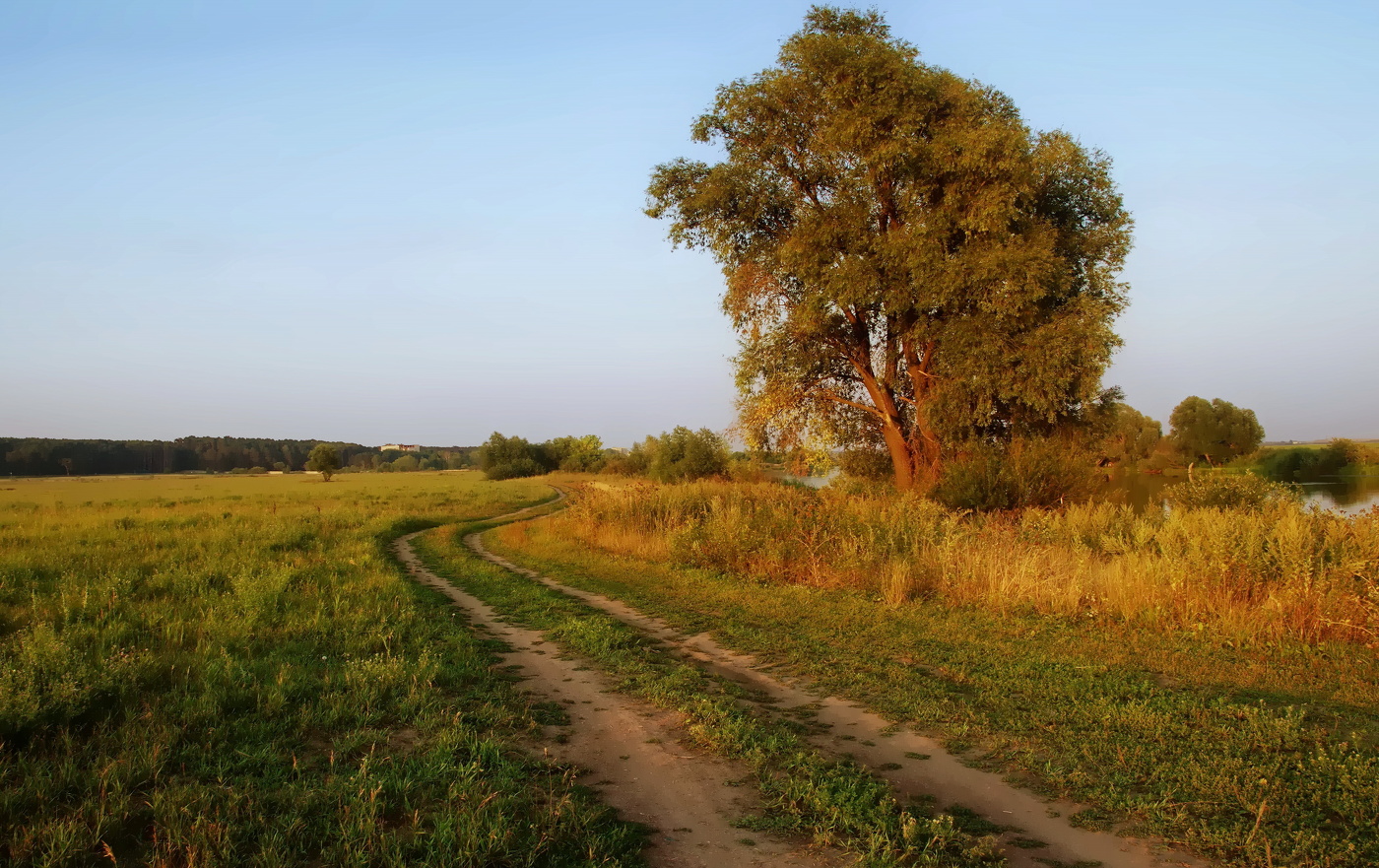 Тихий вечер