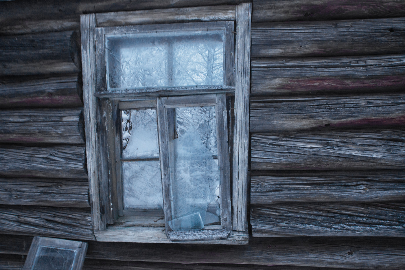 Жизнь вокруг