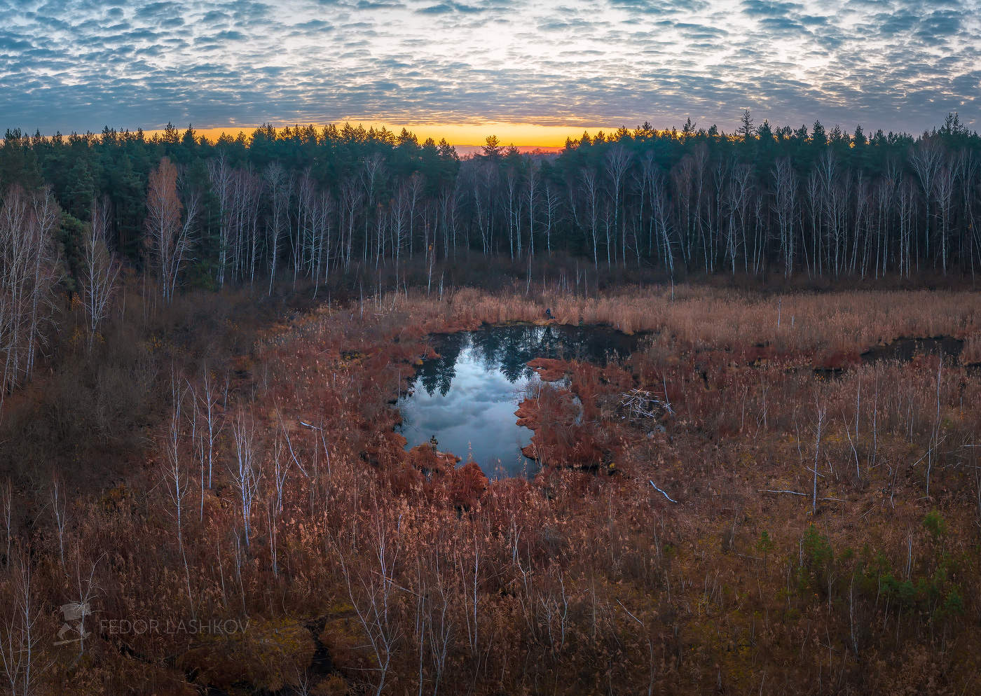 Заболоченное озеро