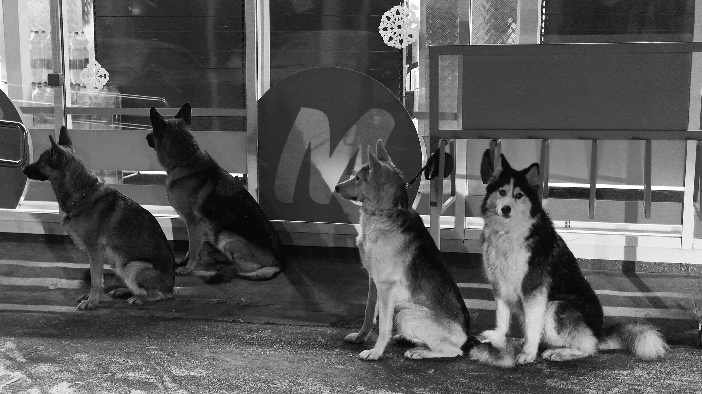 -Кто последний?