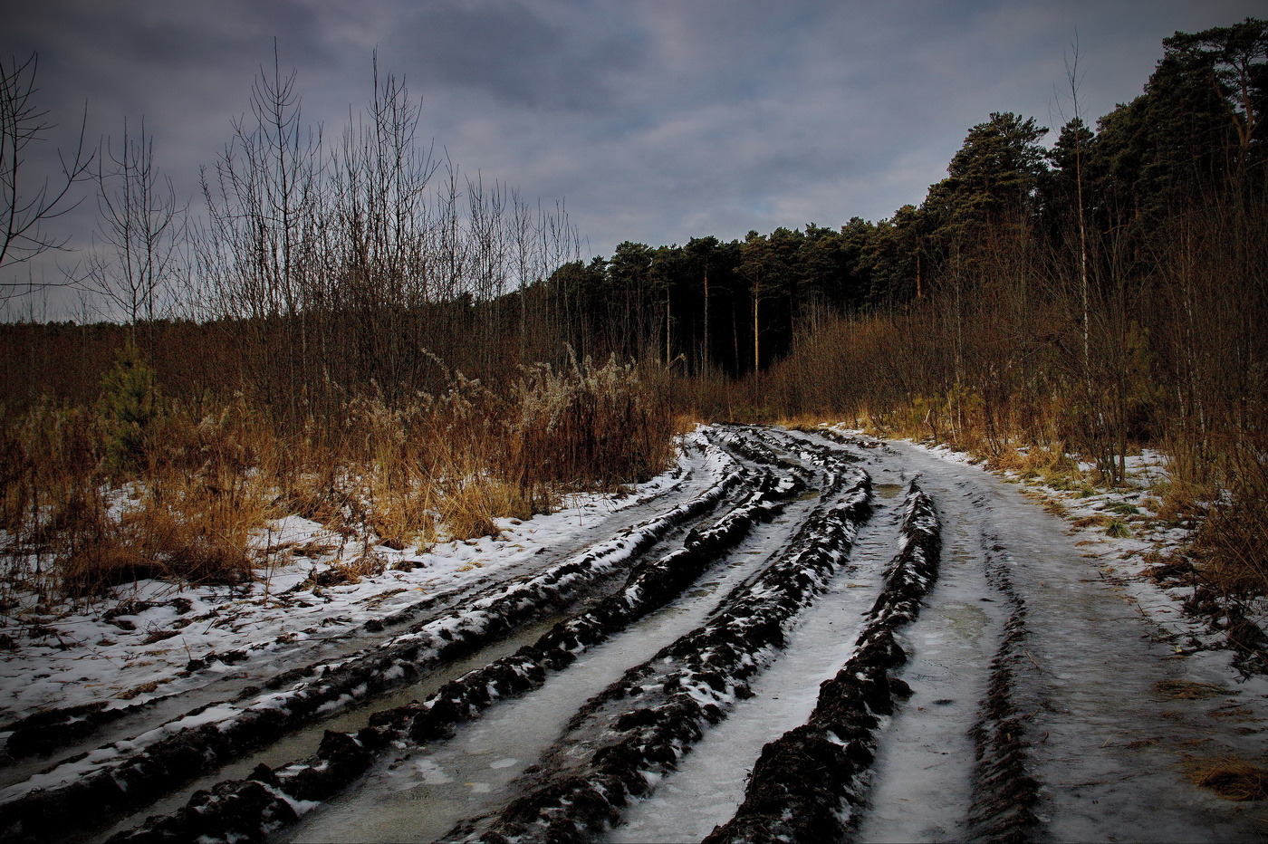*Поздняя осень.**