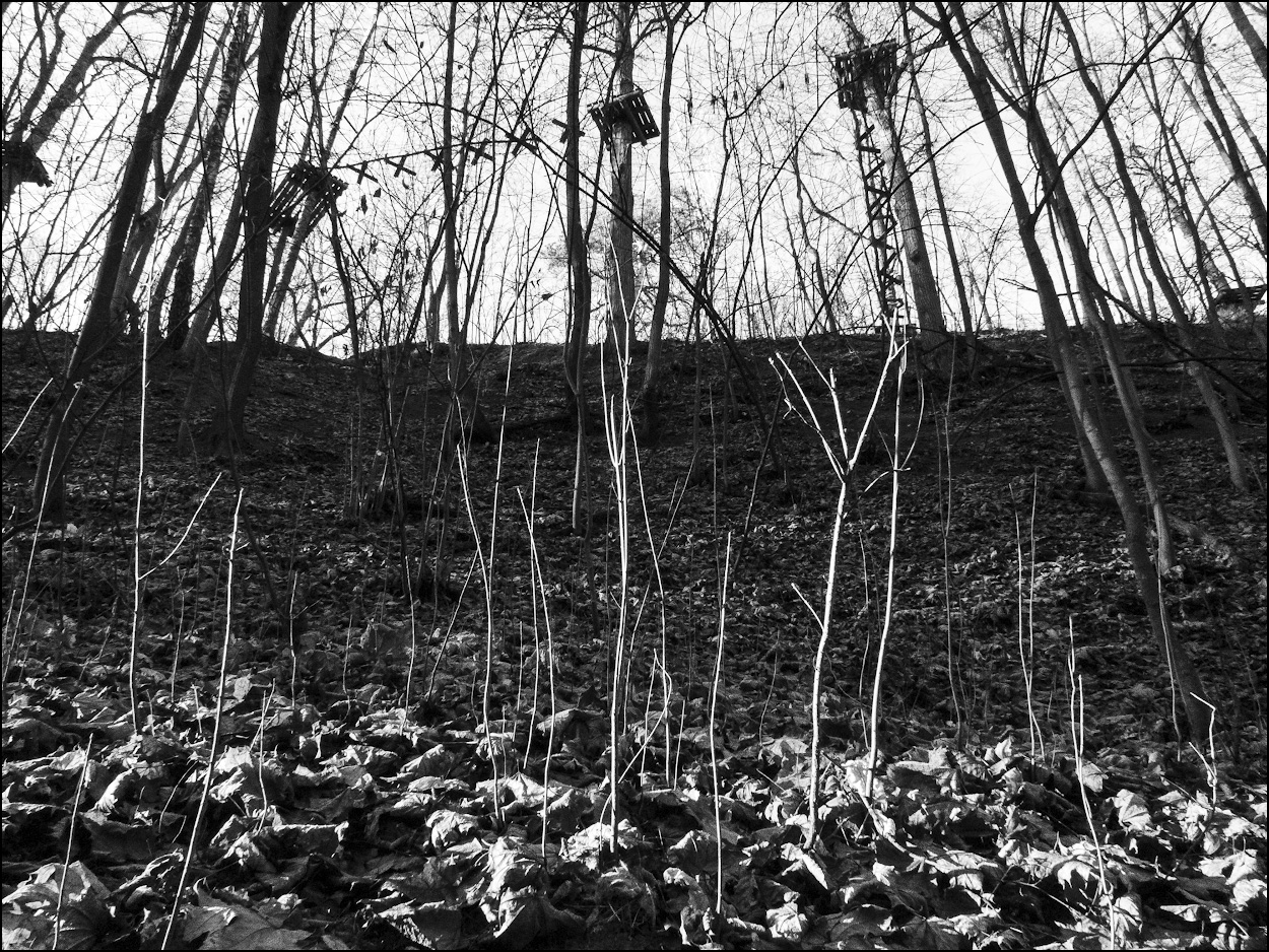 категорически