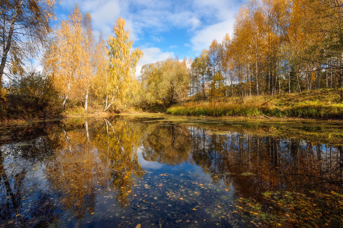 осенний пруд