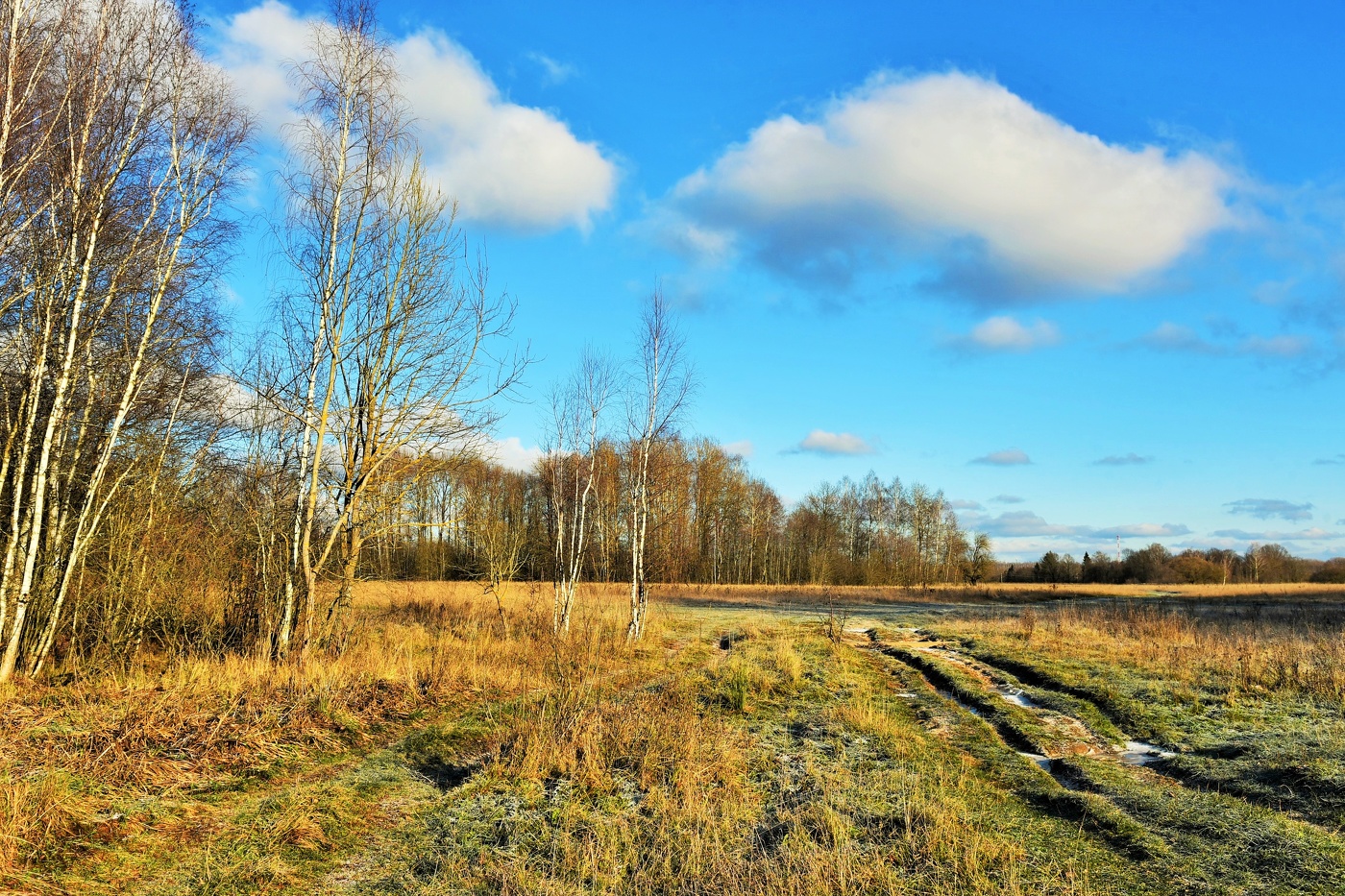 Один из редких солнечных дней ноября ...
