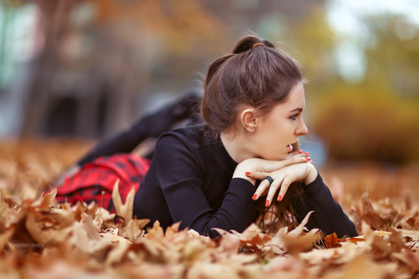 из альбома "логика листьев".