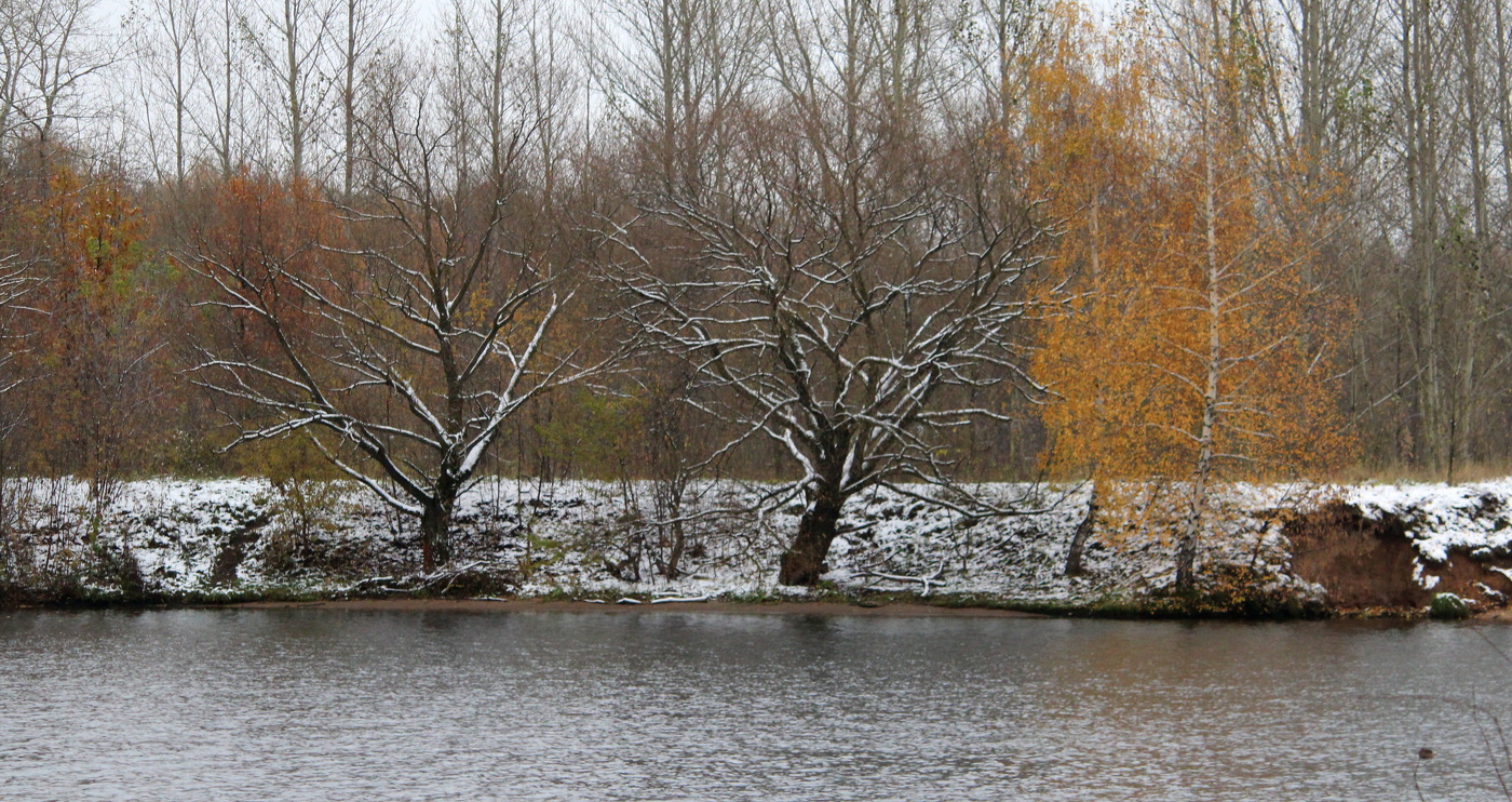 Осенний пейзаж!