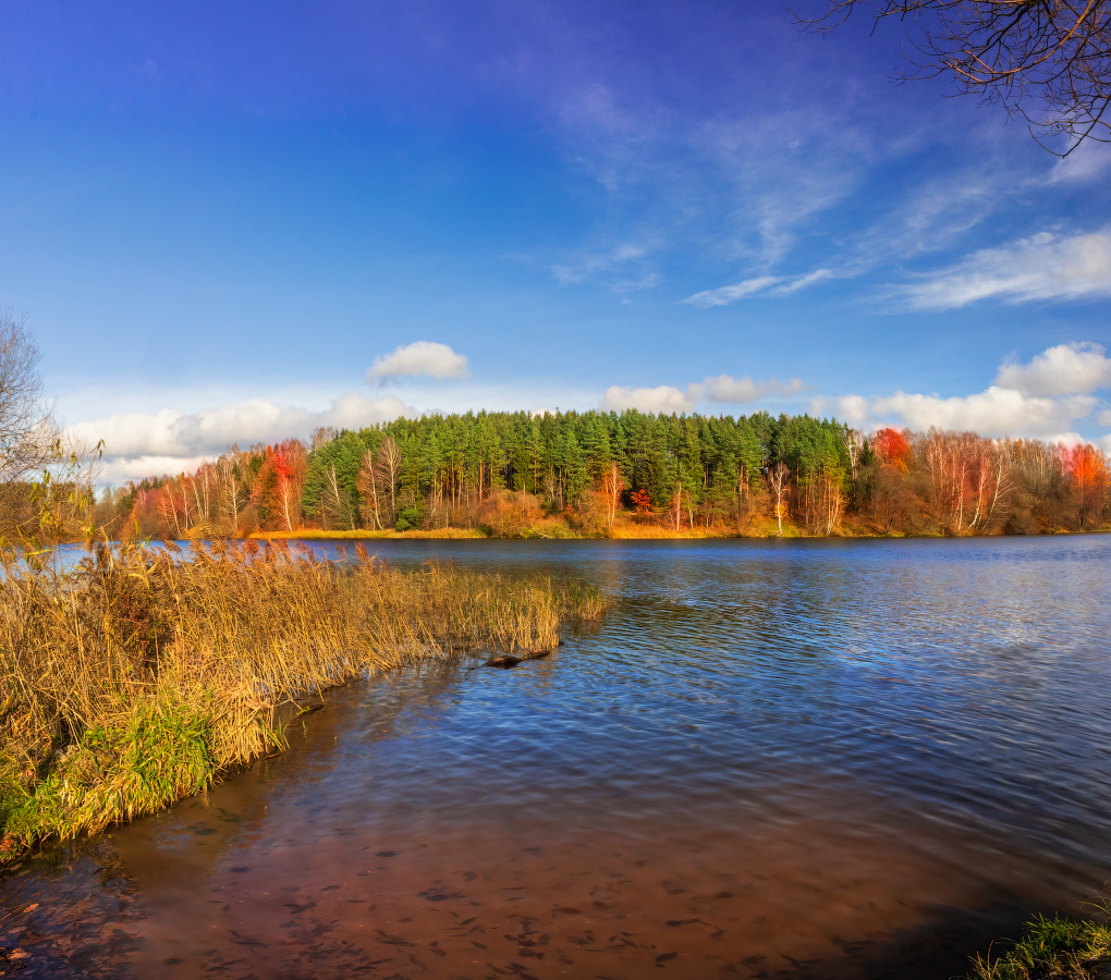 Краски осени