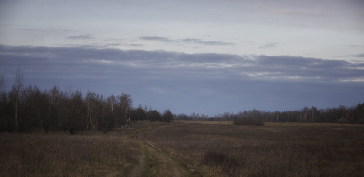 Пурпурный вечер ноября