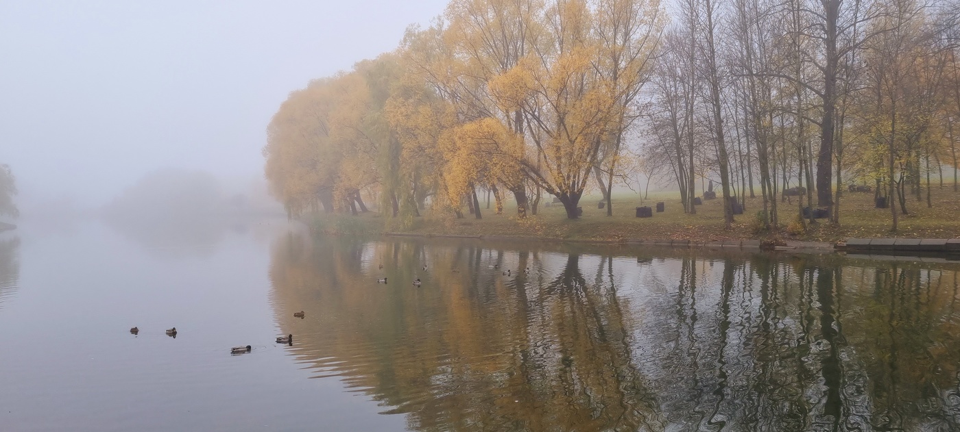 Осенний туман...