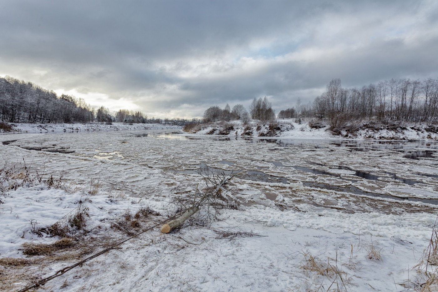 Жизнь вокруг