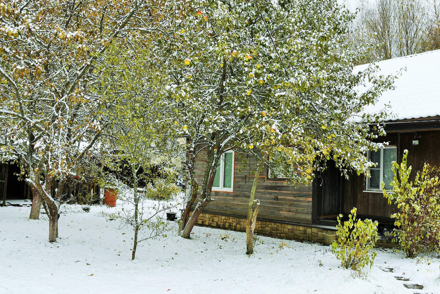 "Мама! Глянь-ка из окошка... грязи нет, весь двор одело..."