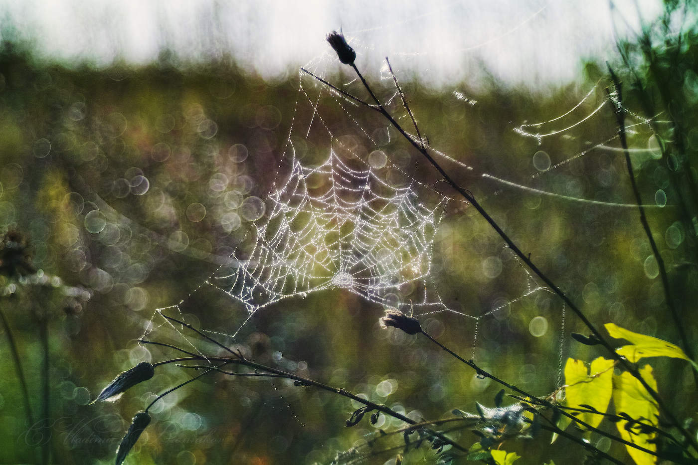 Хрустальный кокошник