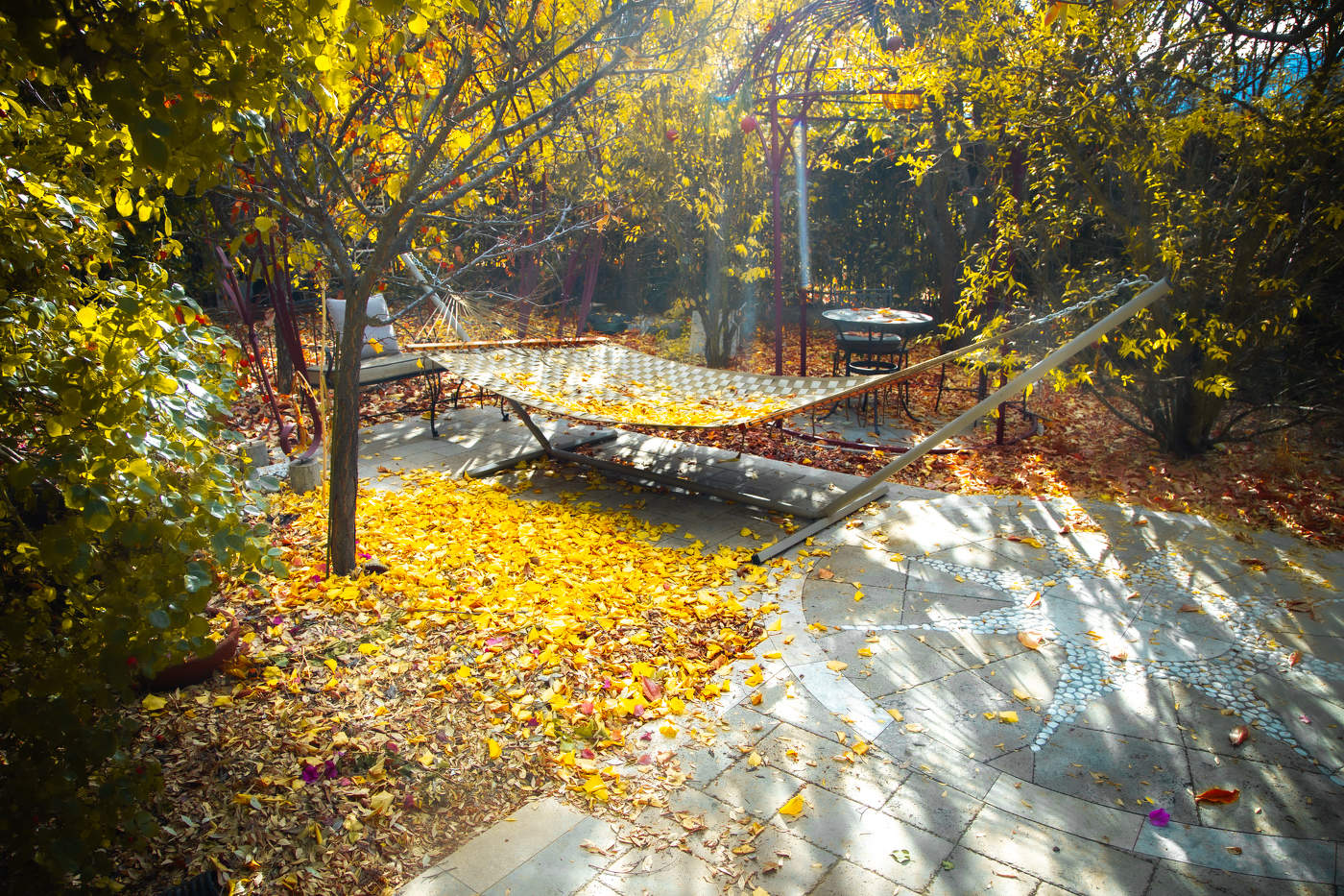 Осенняя песня