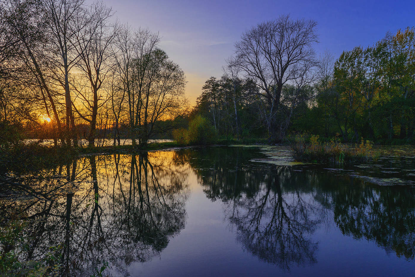 Осенний вечер...