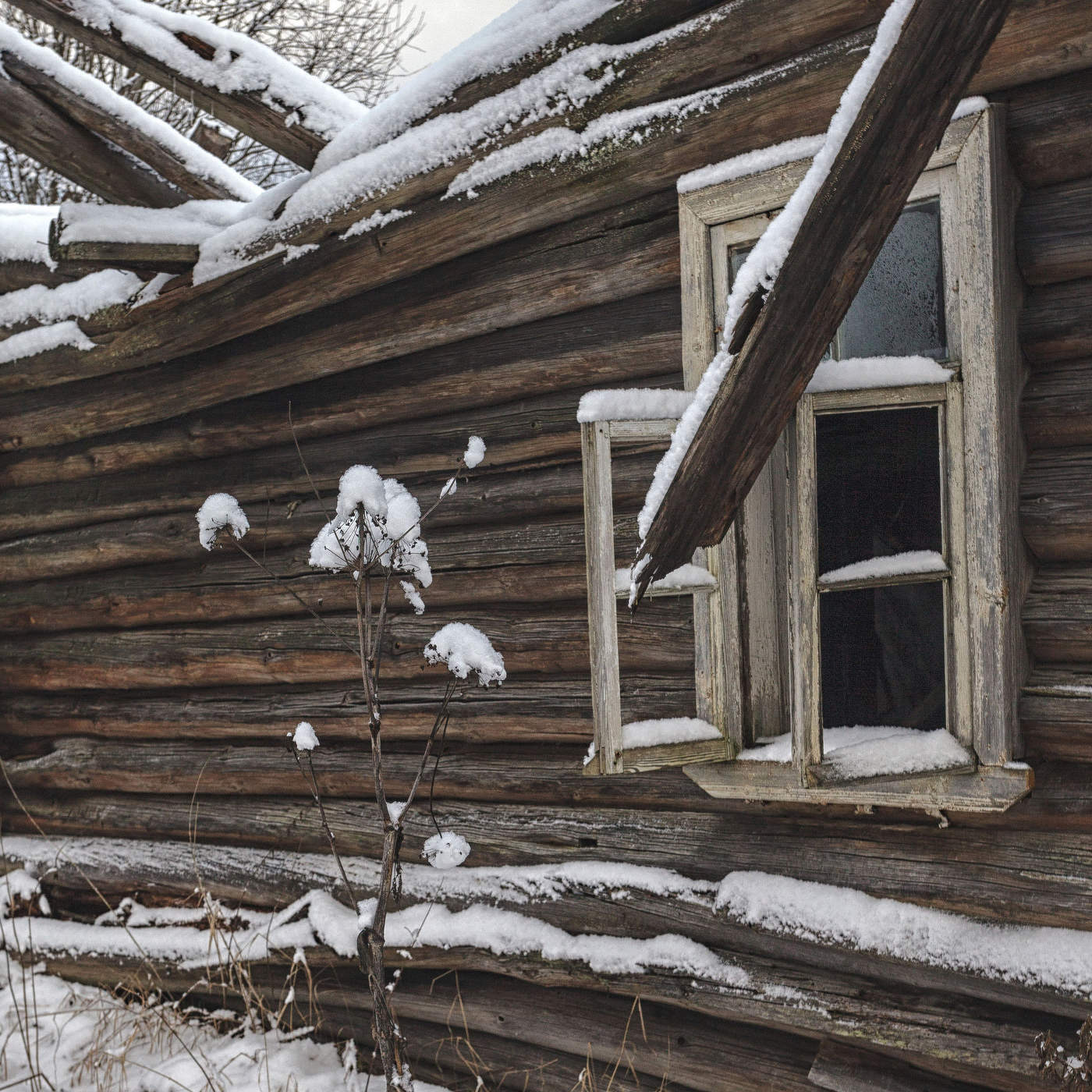 Жизнь вокруг