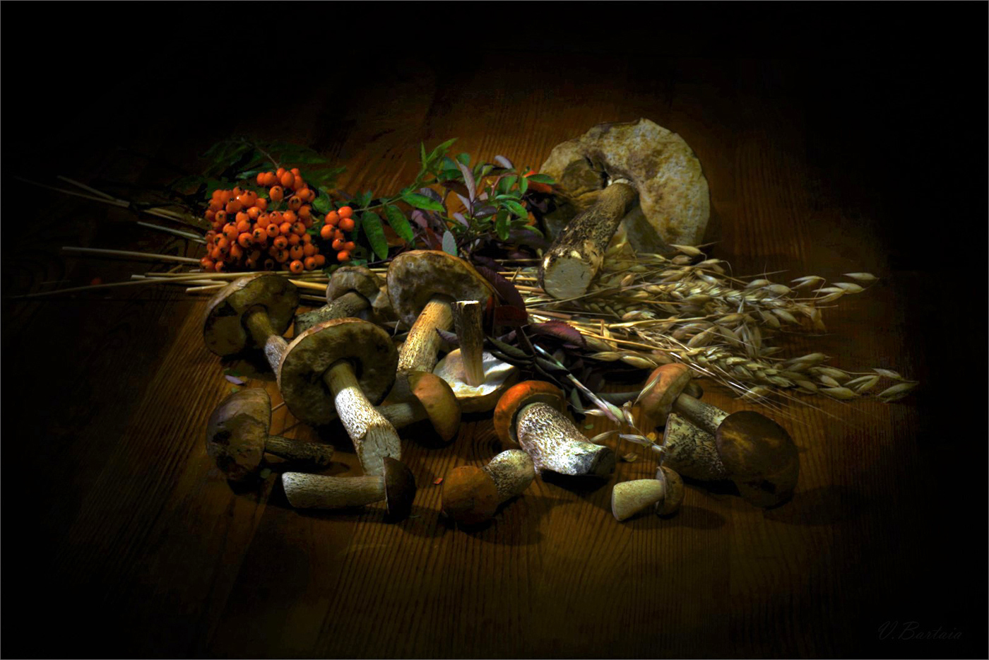 Время грибов