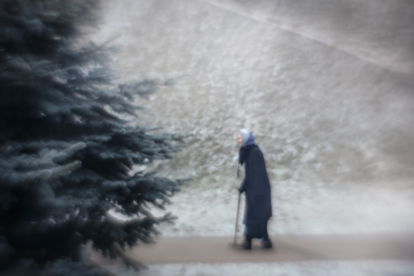 Город встретил первый снег