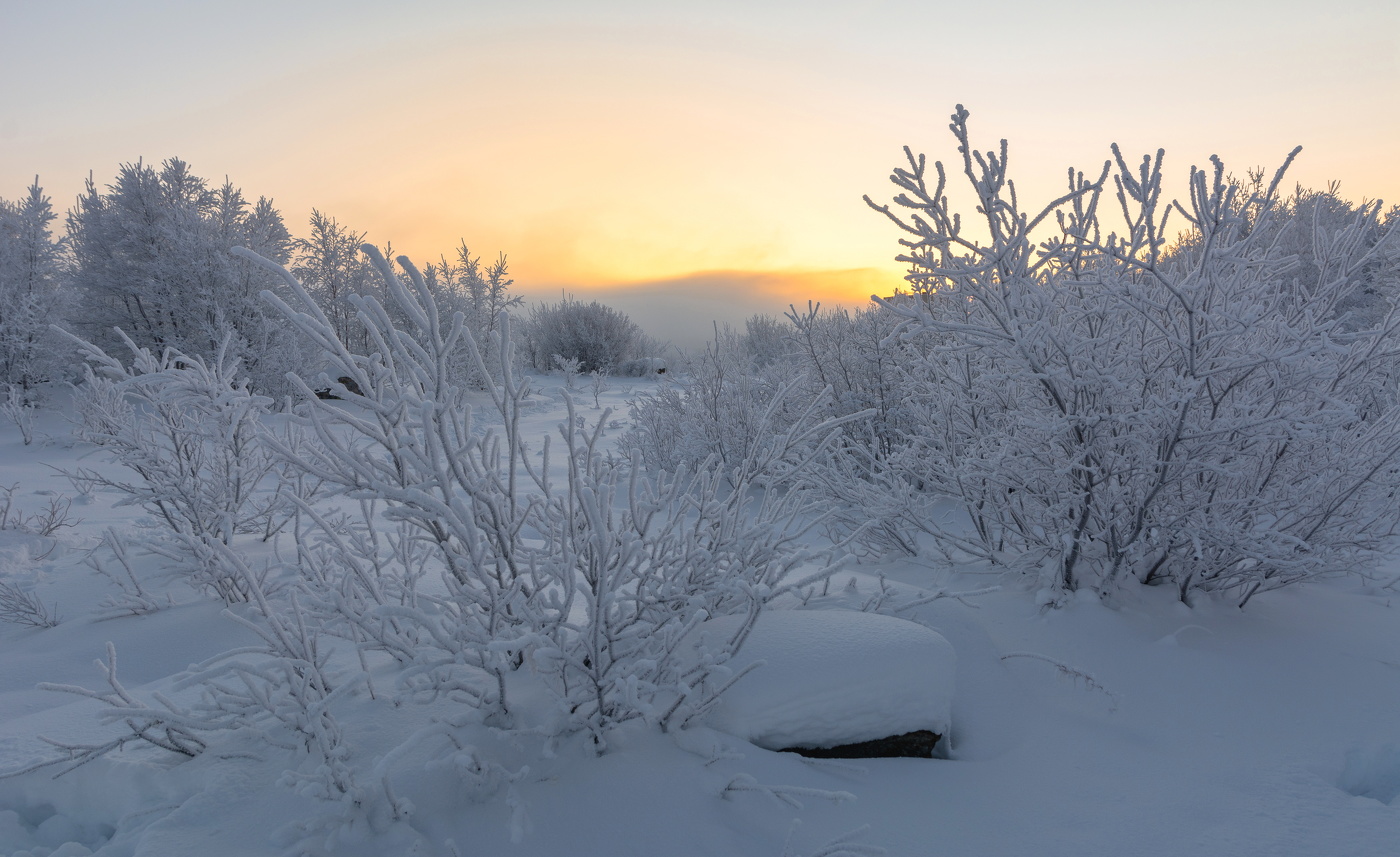 ноябрьские морозы