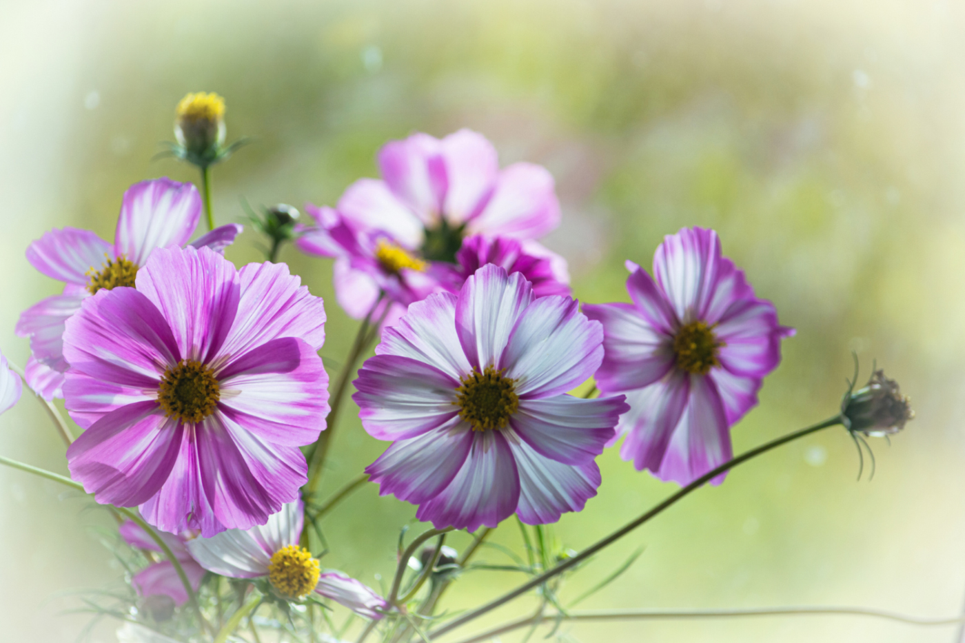 Осенние этюды...Осенние штрихи...