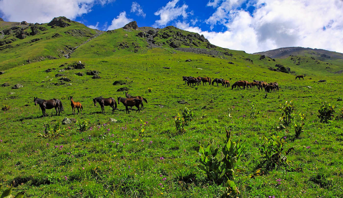 У перевала Федосеева