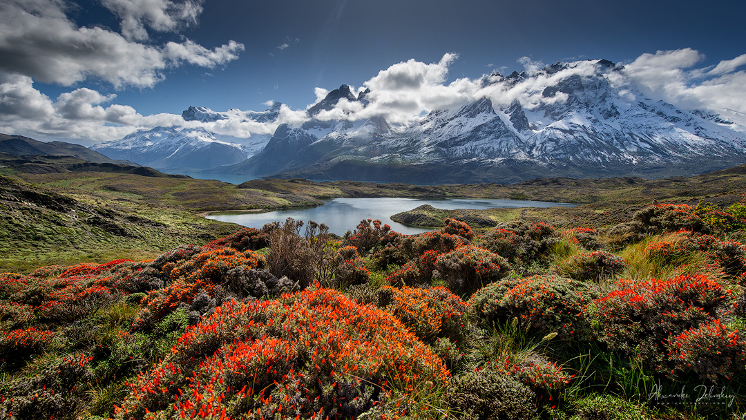 В предгорьях Андов бушует весна!