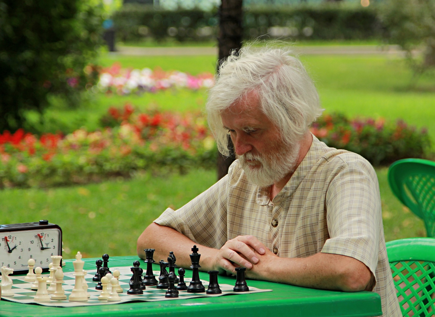 Партия в шахматы