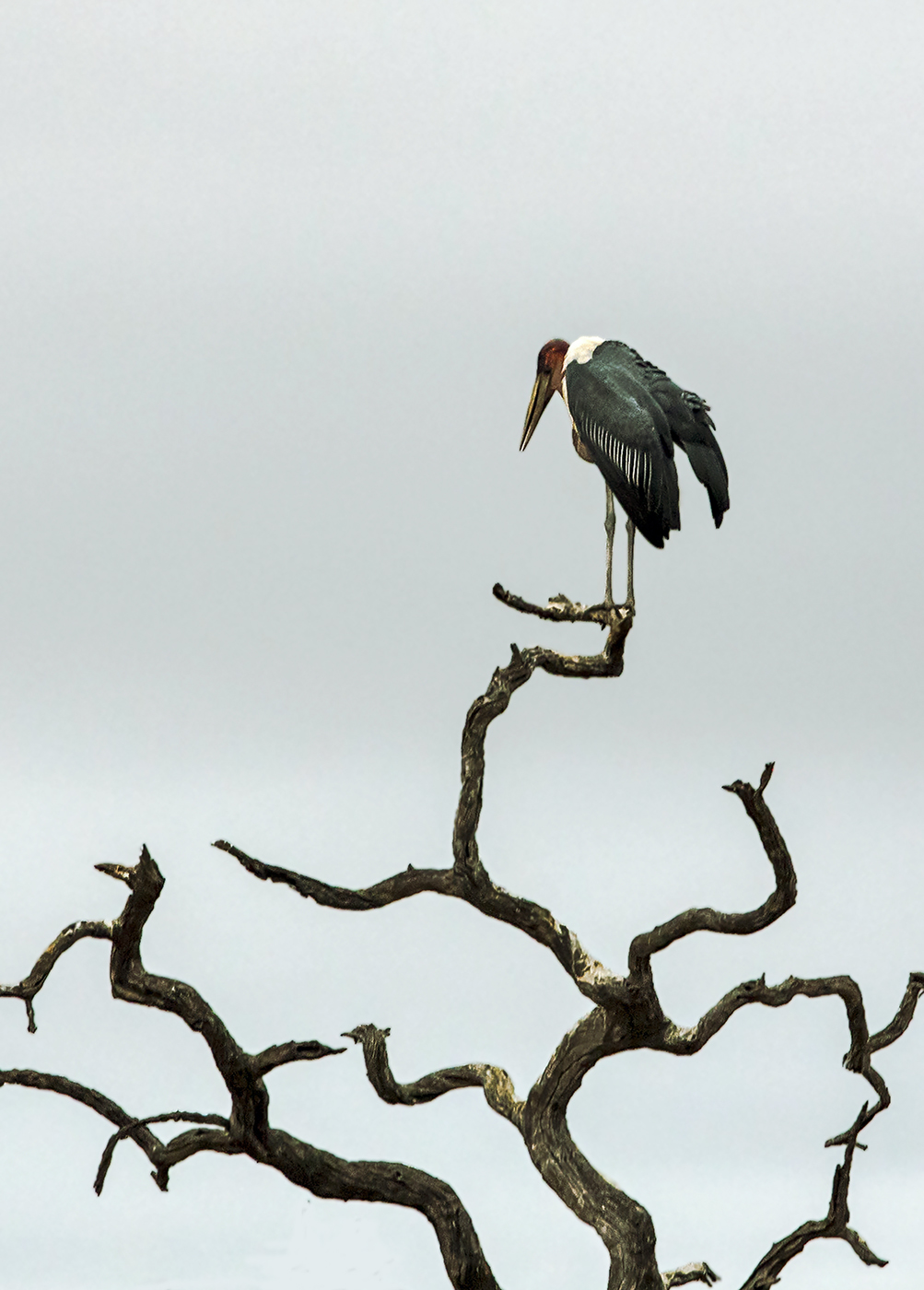 Одиночество