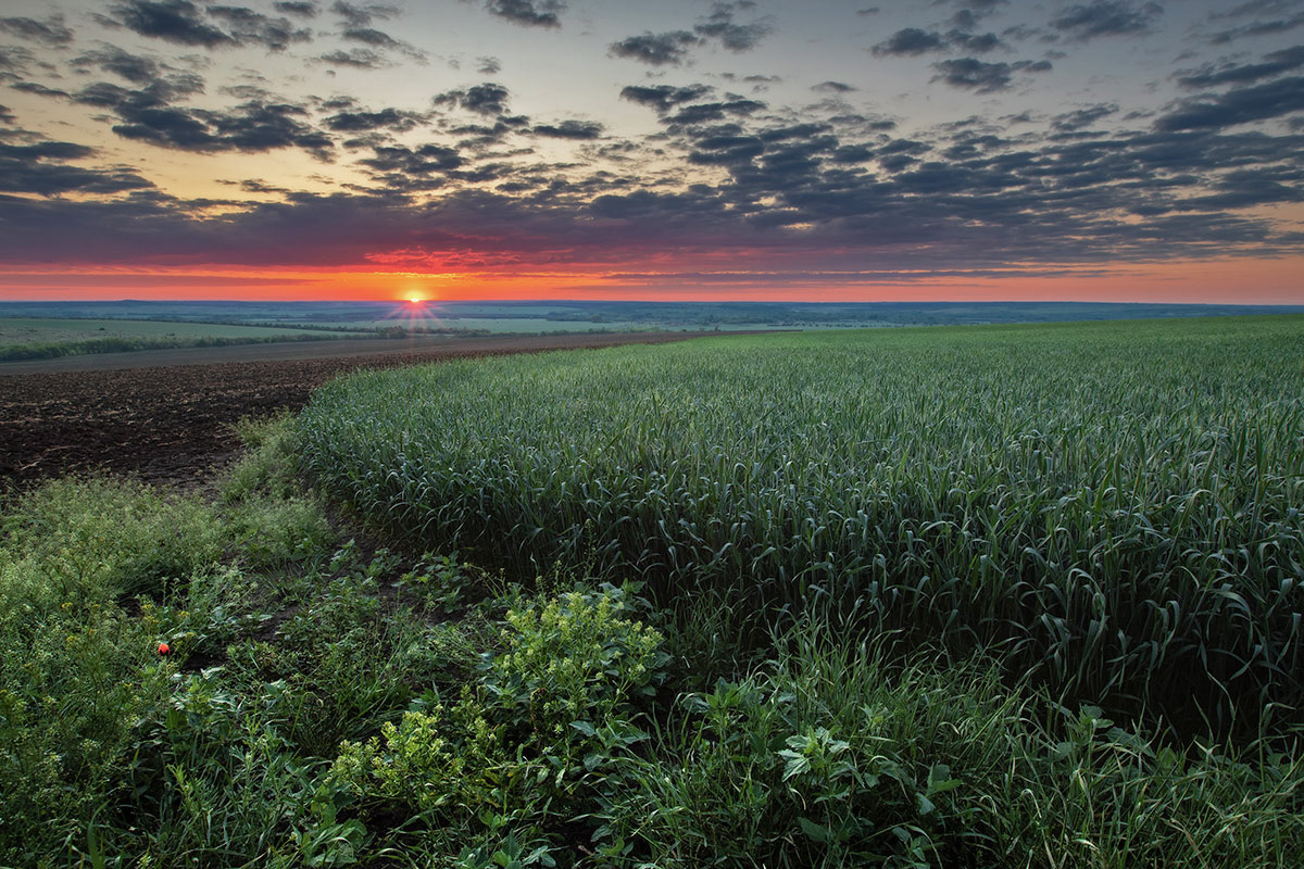 У поля на краю