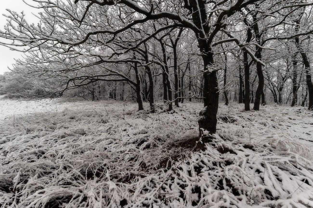 Второй снег