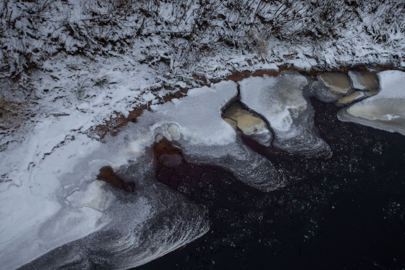 Жизнь вокруг