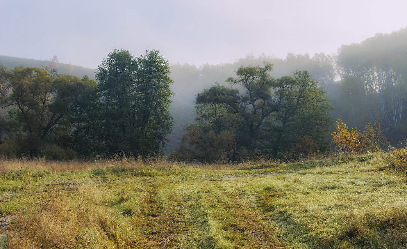 В туманную даль