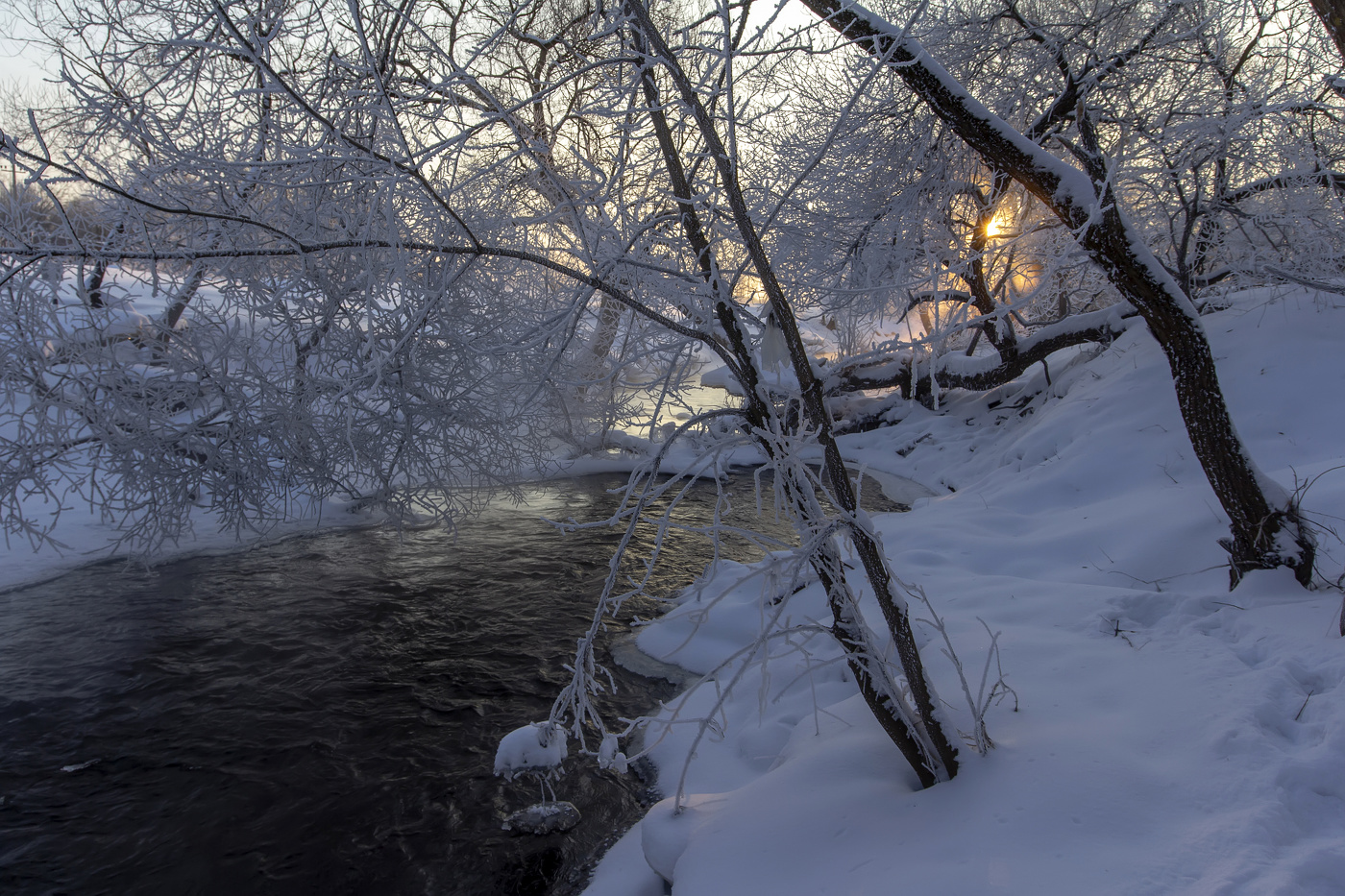 Морозное утро...