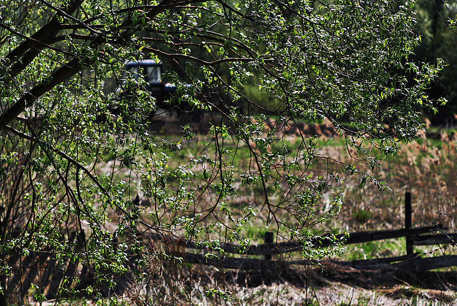 Едет, едет трактор, синий трактор...