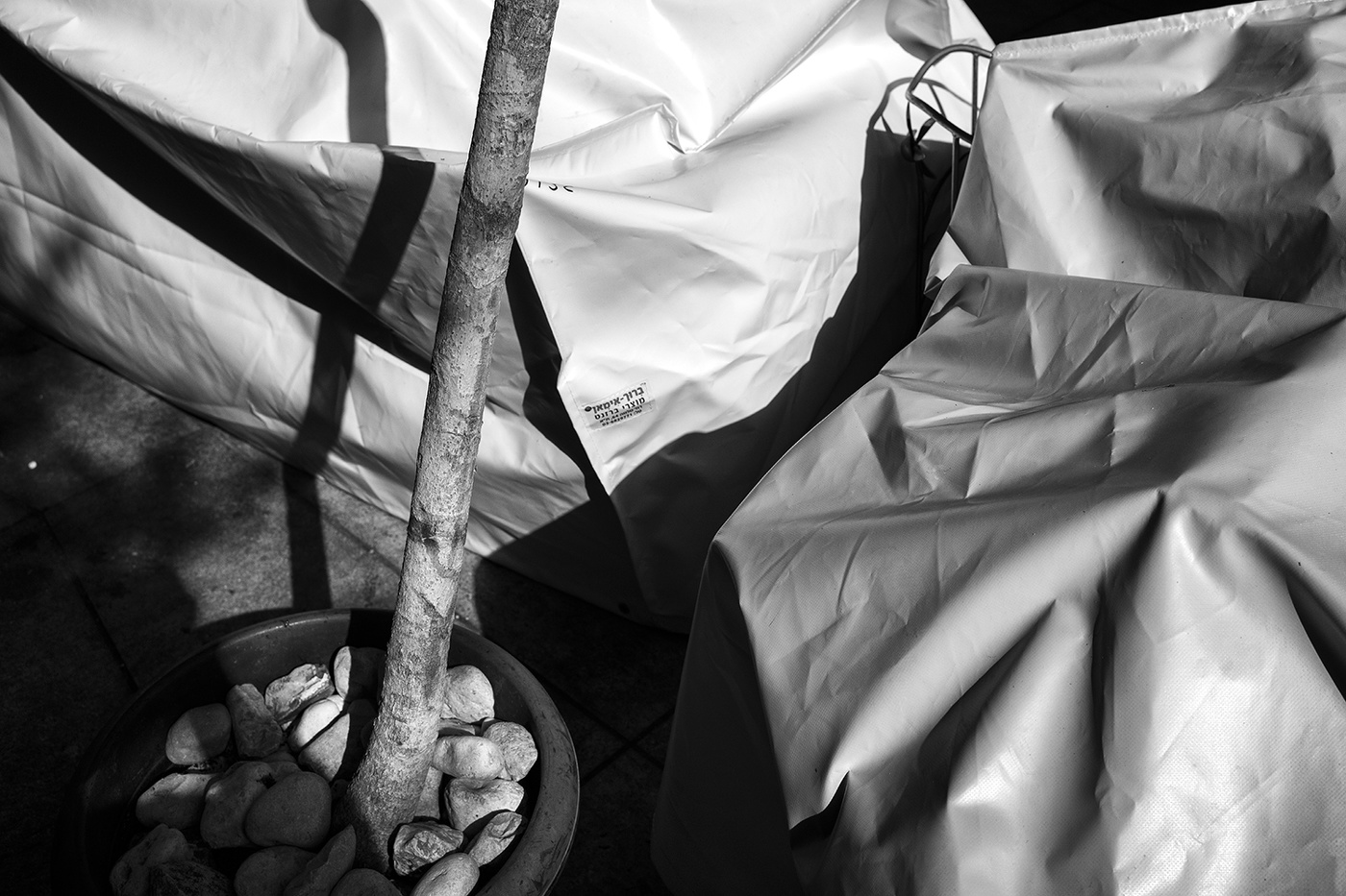 Зимний полдень